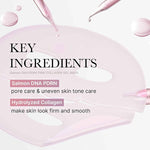 Salmon PDRN Pink Collagen Jelly Gel Mask